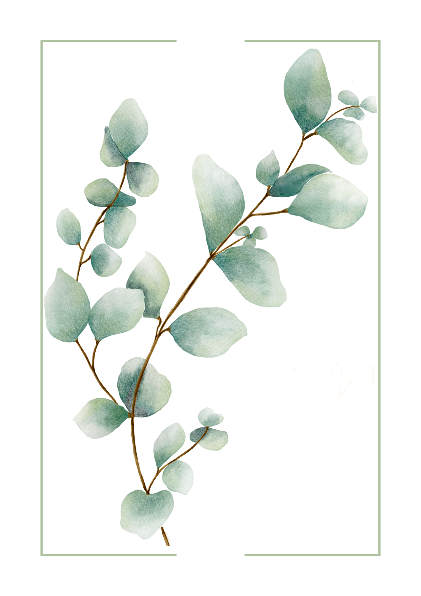 Watercolour Eucalyptus Wall Art Print | Green Leaf Poster