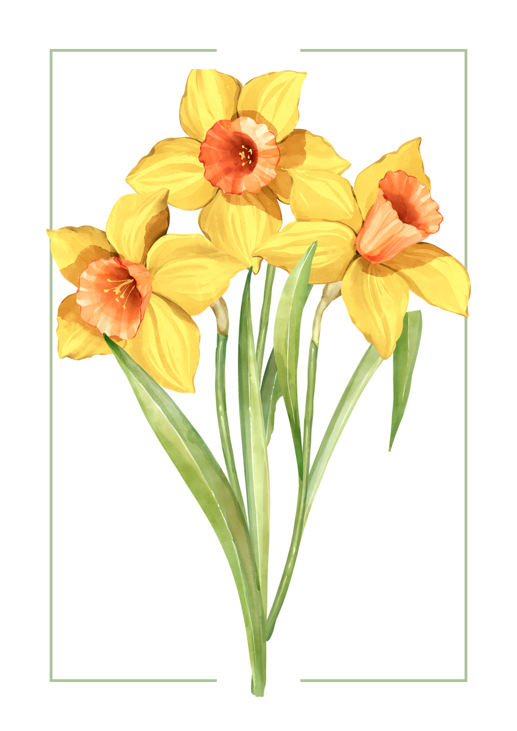 Daffodil Watercolour Botanical Art Print | Floral Home Décor