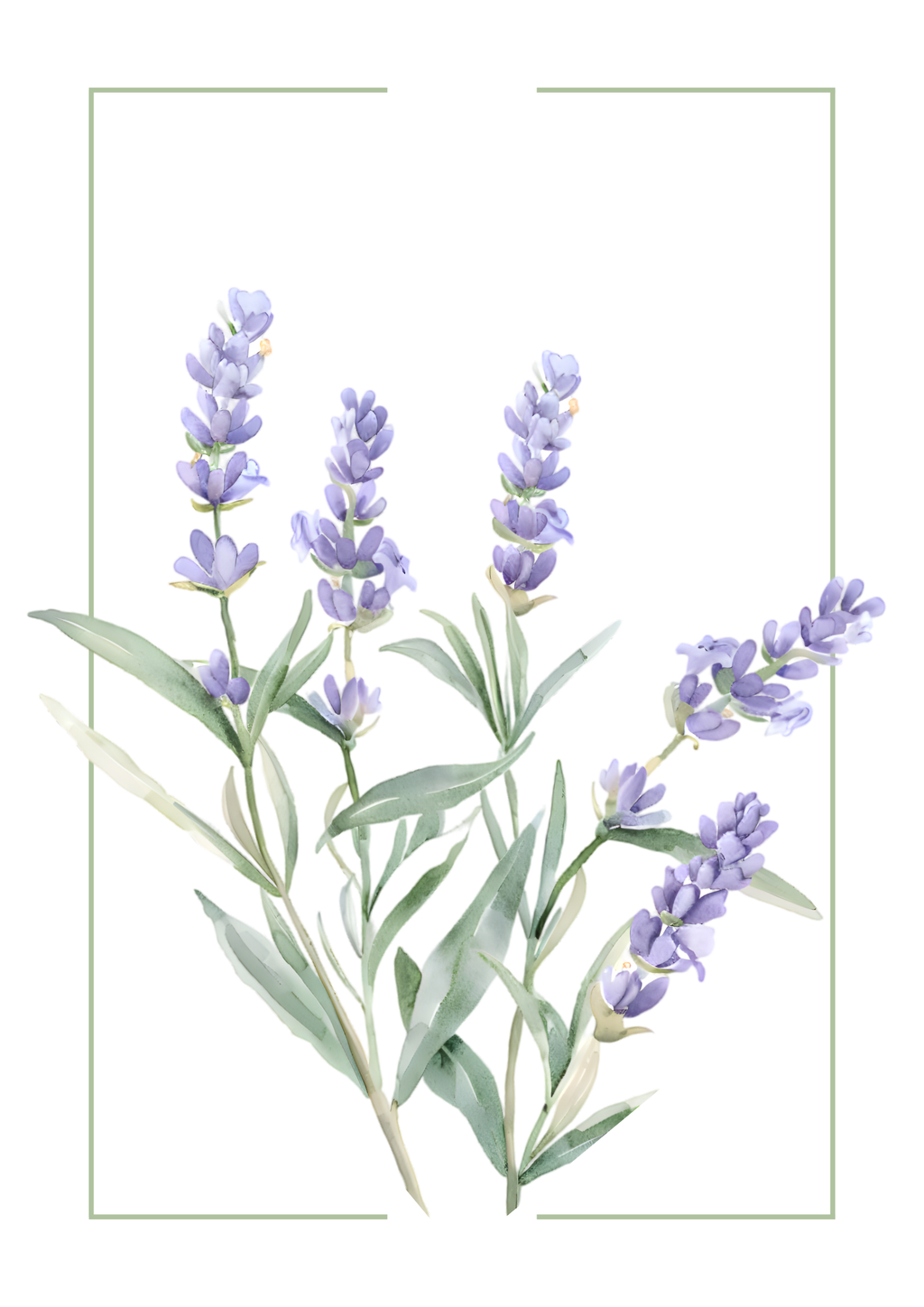 Lavender Watercolour Botanical Art Print | Floral Home Décor