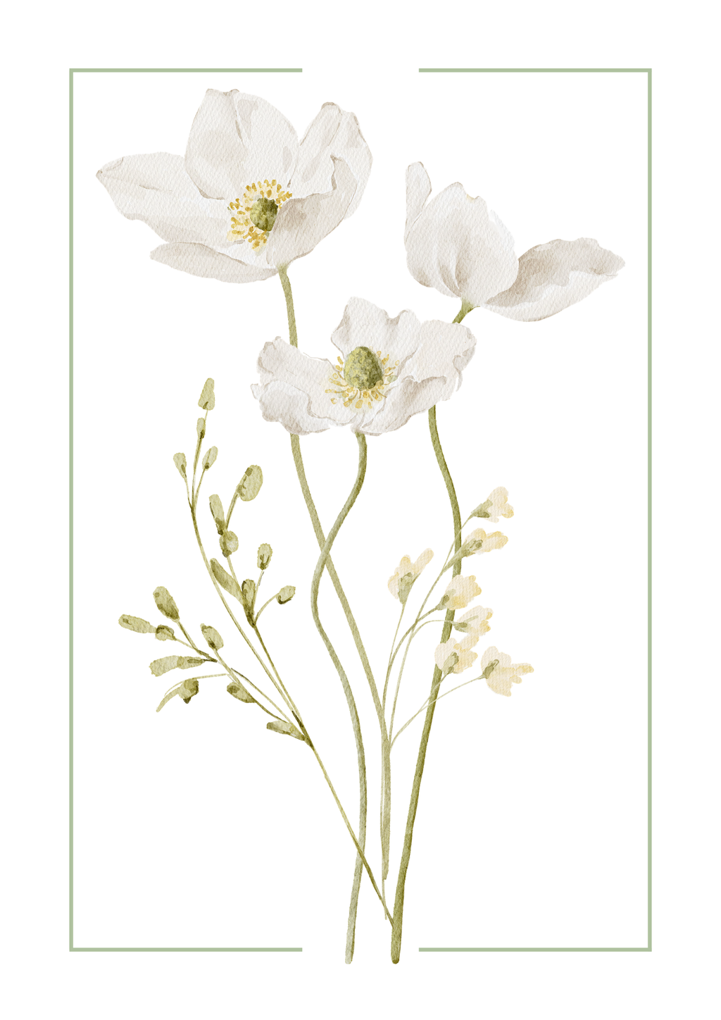 White Anemone Watercolour Botanical Art Print | Elegant Floral Home Décor