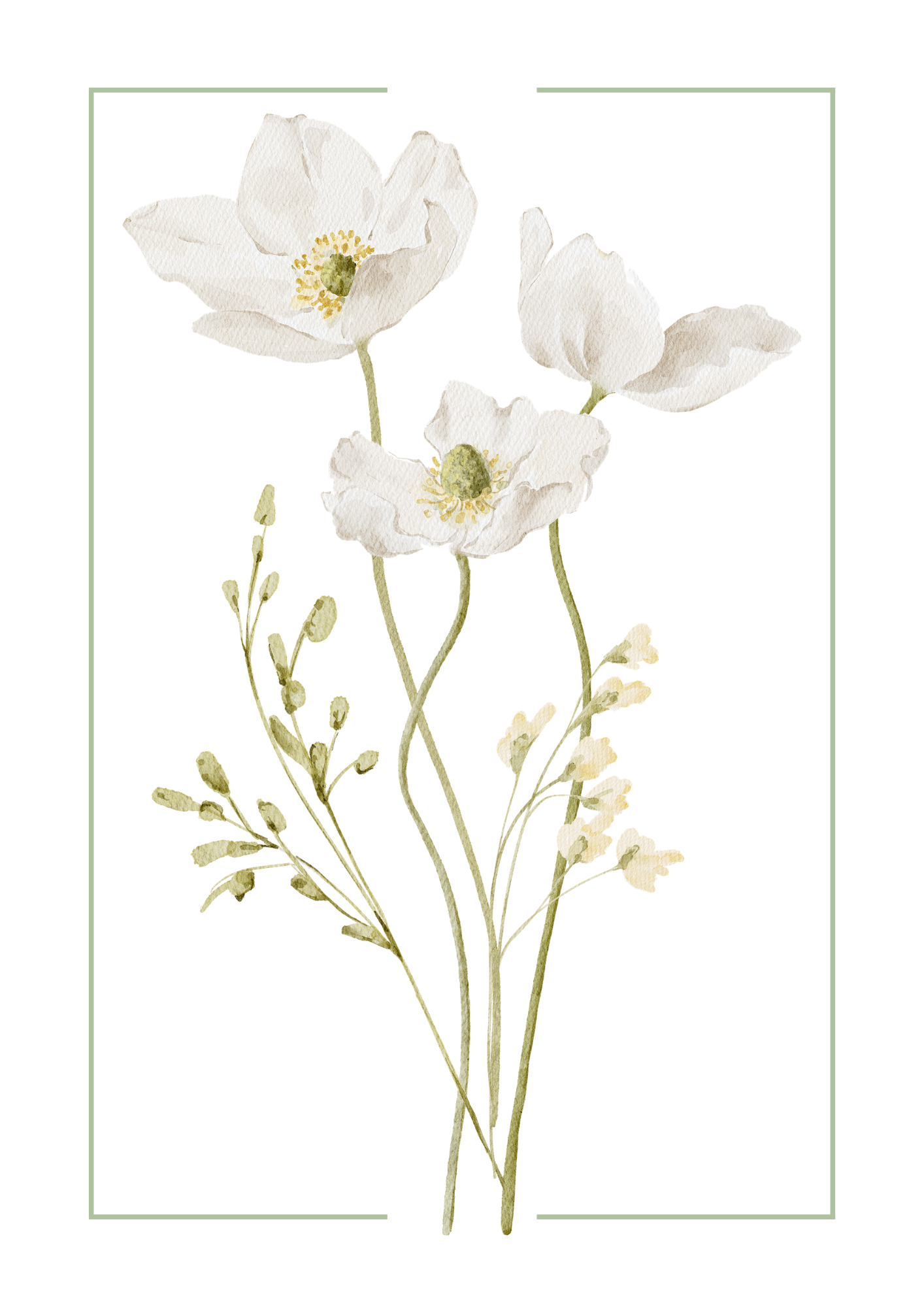 White Anemone Watercolour Botanical Art Print | Elegant Floral Home Décor